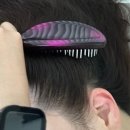 비디알(bdr)