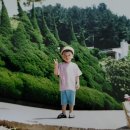 이이주