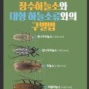 하늘소 경기신문