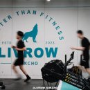 리브로우