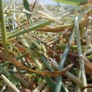 노을한우농장 이미지