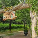 [울산 아이와]울산대공원 동물원 &amp; 생태여행관 후기