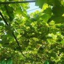 재민농장 이미지