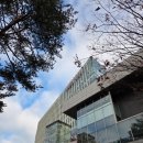 마포구청 | [아기 여권 신청] 첫 여권 발급은 직접 방문! 마포구청 방문 후기