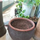 육육구삼 이미지