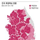 태백산맥 조선일보
