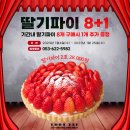 윤파이 이미지