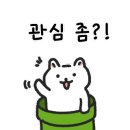 (주)컬리 이미지