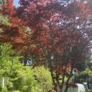 모전愛(애) 사우나 | 11일 ] 나홀로 나가노 1박2일 여행 2일차 - dish// 2024 hall tour GARDEN in NAGANO 참전후기 및 뒤풀이