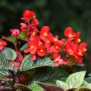 오늘은 음표 이미지