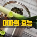 탕대팔 이미지