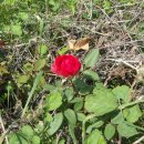 학리입구 이미지