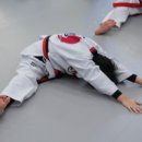 열정태권도 이미지