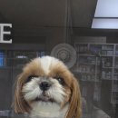 분당파크뷰동물병원 이미지