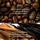 카페051더블