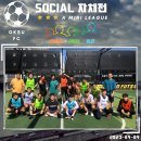 토모Tomo 이미지