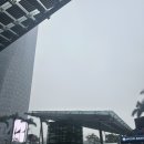 카오스레지던스 | [출장로그] 하노이 출장 Day2 (하노이 미딩 맛집, 포딘 쌀국수, 카페니모 파르페, 더식탁 숙성회코스)