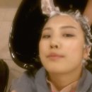 로제트리