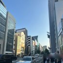 세븐일레븐오라사거리점 | 나홀로 도쿄여행 6. 시부야 정복기 | 파르코, 메가돈키, 가챠샵 투어