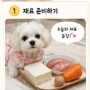 설이네 펫푸드 | 🐶 우리 집 강아지 간식 직접 만들었어요!