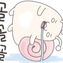 비전탁구장