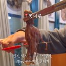 쭝마루 이미지
