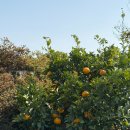 제일이용소 | 2026y03m(여행의 月, 제주부터 묵호 그리고 HBD)