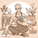 조양시티프라자 | [미용 후기]🐶 부천 엘제이펫 강아지 미용 후기 | 여름철 반려견 시원한 스타일링 완성!