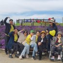 [옥정]시니어 건강 치유 운동 | [공지] 양주옥정주간보호 어르신들과 함께 나리공원에서 가을을 만끽하다! <청춘재활 가을나들이 후기>