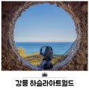 피노키오박물관(하슬라아트월드) | 강릉 미술관 하슬라아트월드 피노키오박물관 입장권 할인 데이트 놀거리 추천