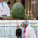 한식대첩 이미지
