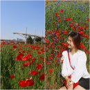 용암천 자전거 쉼터 | 경기도 주말나들이 하기 좋은 남양주 가볼만한곳 8
