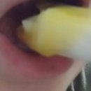 샤샤식품