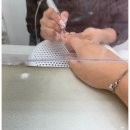 두풍리치빌 | 봄맞이 생화 아트로 기분 up! 심곡동네일 메리네일 merry nail