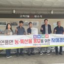 대학찰옥수수 이미지