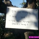 버들농장 이미지