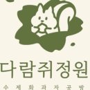 다람쥐디저트
