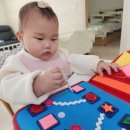 퍼니주니 이미지
