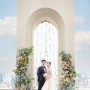 플레타플레르 이미지