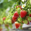 믹스짐 호매실점 이미지