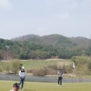 동부회원권거래소 이미지