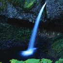 좋은세상 이미지