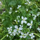 안성농장 이미지