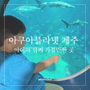 와우어뮤즈먼트 | 아쿠아플라넷 제주 할인정보 아이와 가볼 만한 곳 제주도 동쪽 성산 여행