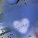 오늘은 오린이날 오리들세상