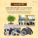 상촌중 이미지