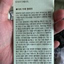 다미다원 이미지