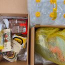 노브랜드 앞 | 1인가구 한달 가성비 쟁여템 이마트몰 쓱배송 노브랜드 식료품 후기