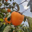 부안 수성당ㅡ개암사 이미지