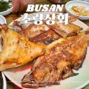 부산자갈치 생선구이 | 초량상회 부산 자갈치시장 맛집 남포동 생선구이 내돈내산